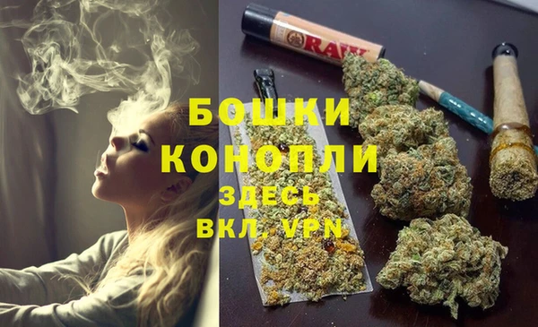 соль курить ск Бородино