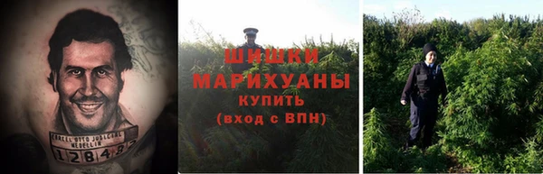 соль курить ск Бородино